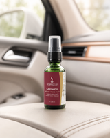 scentacar Vehicle Freshener