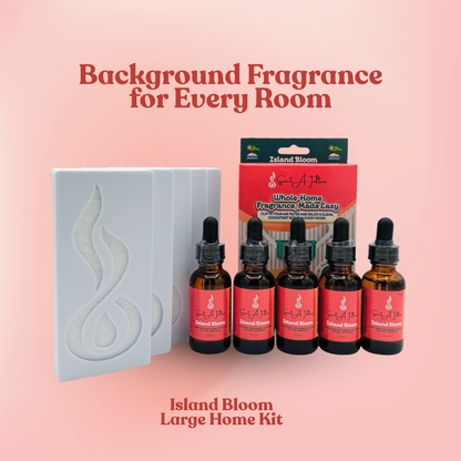 scentafilter Large Home Kit