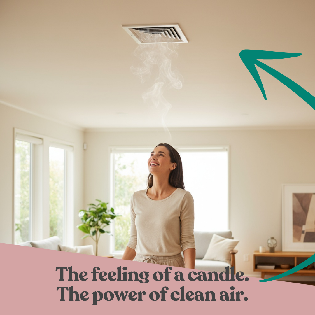 scentafilter Large Home Kit