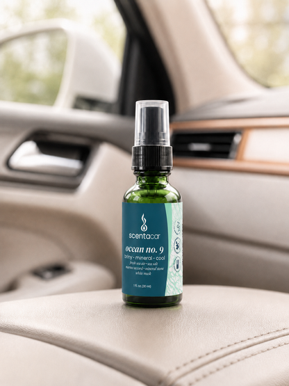 scentacar Vehicle Freshener
