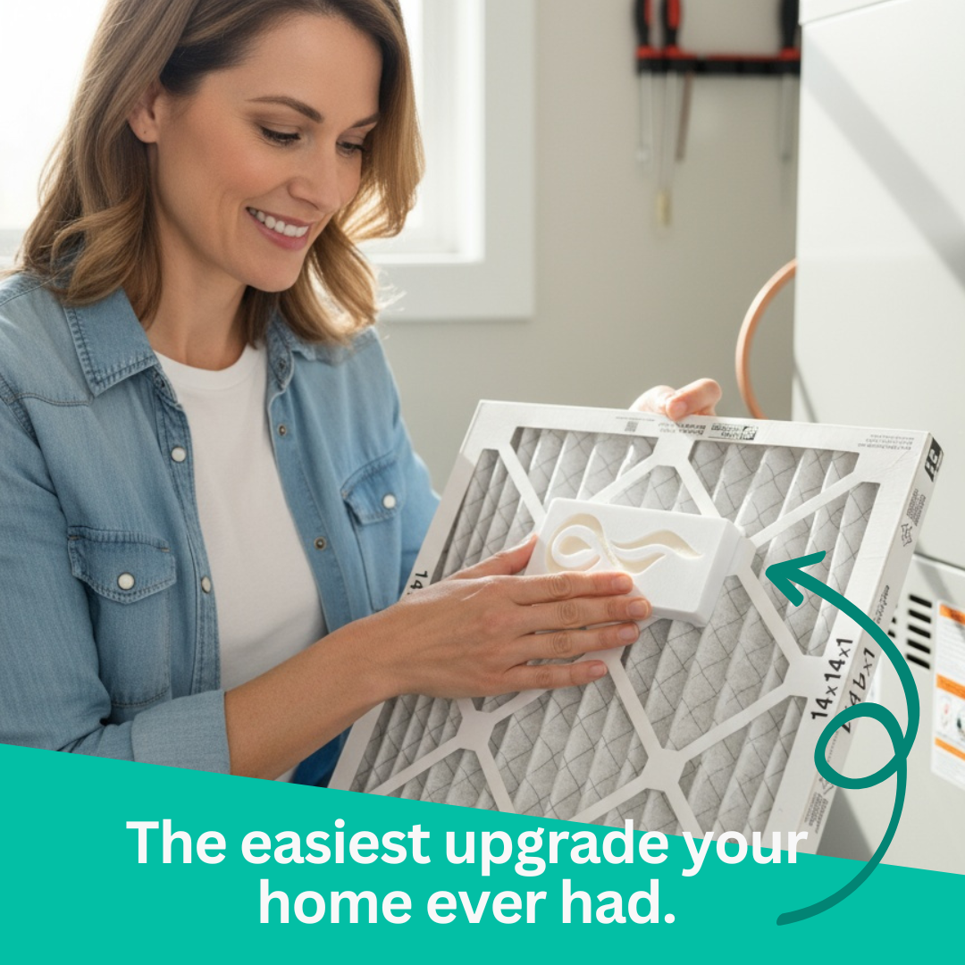 Effortless Clean Home Trio Variety Pack